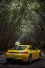 Porsche 718 Cayman S 2016 года (NA)